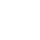 Model Selection & Development