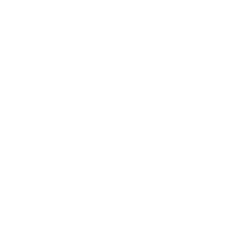 Hand-Coded Development