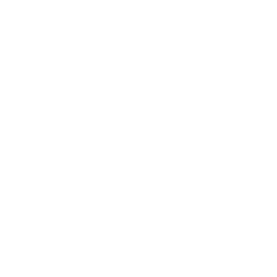 Launch & 1-Year Free Support