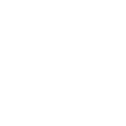 While You Sleep, We Build