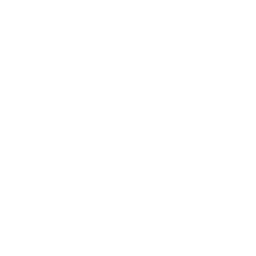 Deep Technical Talent Pool