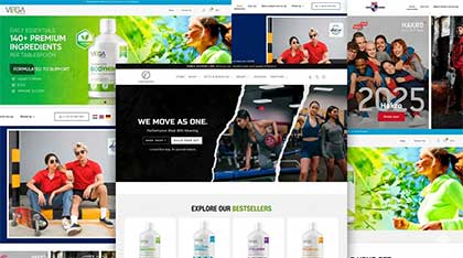 Web development portfolio — Neel Networks India