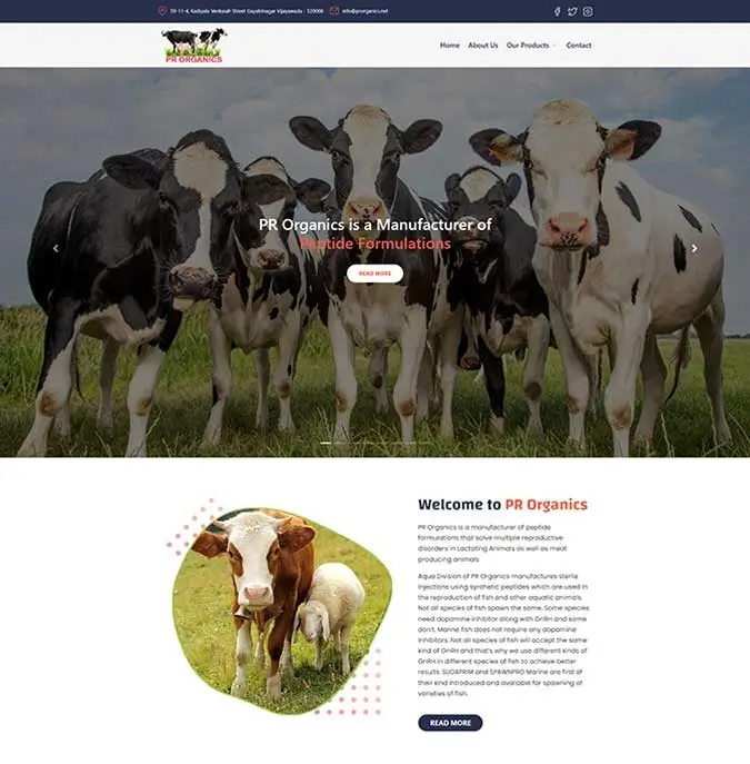 Website designed by Neel Networks