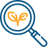 Real organic traffic SEO India