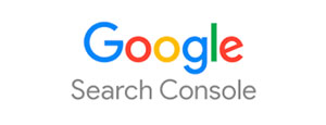 Google Search Console — Neel Networks India