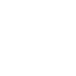 B2B WordPress Development