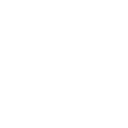 WordPress Multisite Development