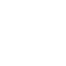 While You Sleep, We Build