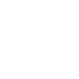 Hire a Dedicated WordPress Team