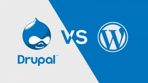 Drupal V/S WordPress- Which Is More Beneficial In Your Case?