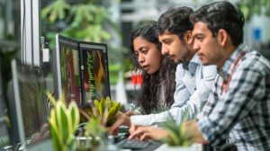 web development service