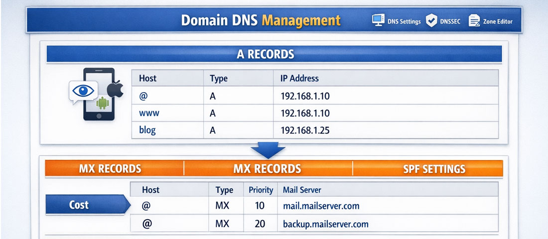 Domain DNS management dashboard showing DNS records including A records, MX records and SPF email authentication settings