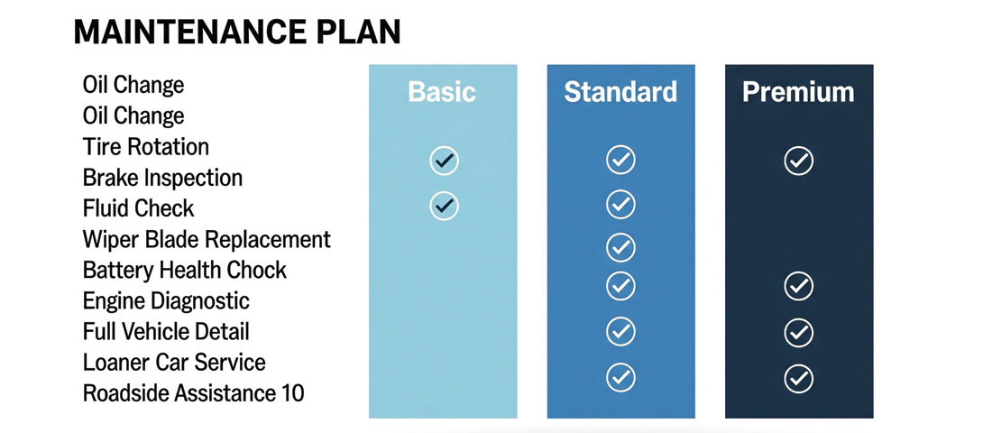 Website maintenance plan comparison showing basic standard and premium tiers with services included at each level for business website care
