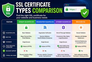 SSL Certificates Explained: Free vs Paid vs Wildcard